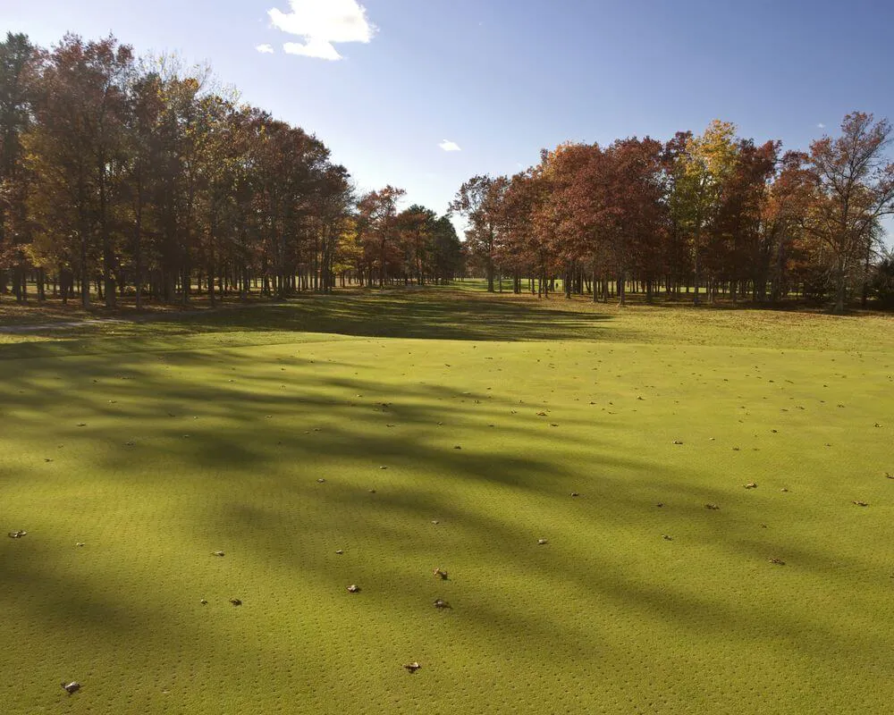Northern Michigan Golf Real Estate