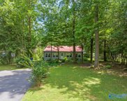 107 Malibu Circle, Scottsboro image