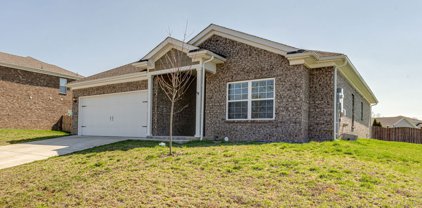 573 Fredericksburg Dr, Gallatin