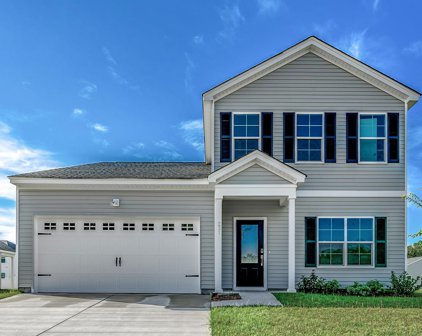231 Wagner Cir., Conway