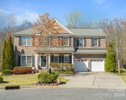 219 Clear Spring  Court, Fort Mill image