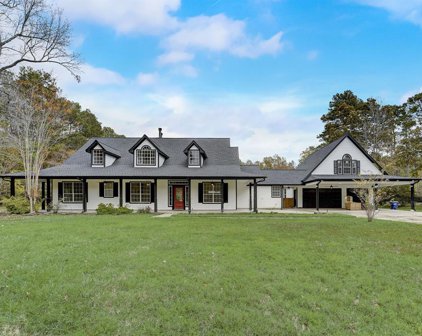 10902 Sea Mist, Magnolia