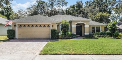 1720 Stoneywood Way, Apopka
