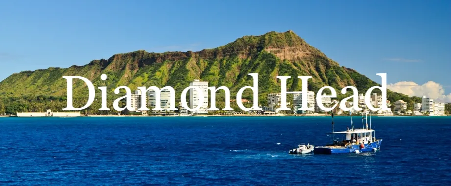Diamond Head Condo Market Report
