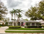 10423 Curry Palm Lane, Fort Myers image