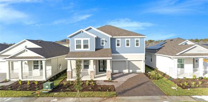 11574 Paragraph Road, Orlando