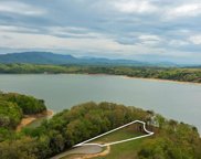 Lot 55 Sunset Boulevard, White Pine image