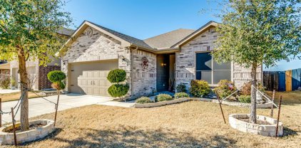 3004 Whitetail Chase  Drive, Fort Worth
