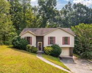 854 Danton Lane, Irondale image