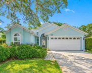 354 Fountainview Circle, Oldsmar image