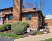 229 Cedar Grove  Drive Unit #D, St Charles image