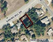 13516 Spring Hill Drive, Spring Hill image