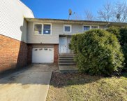 21743 Carol Avenue, Sauk Village image