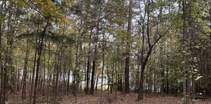 1431 ROCK POINT Cove, Tignall