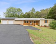 317 Hembree Drive, Guntersville image