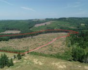 1068 Salmon Creek Rd, Mossyrock image