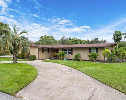 6620 Parson Brown Court, Orlando