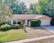 1456 Windjammer Loop, Lutz image