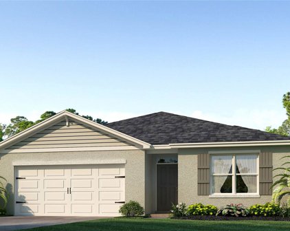 4016 Rory Oak Circle, Apopka