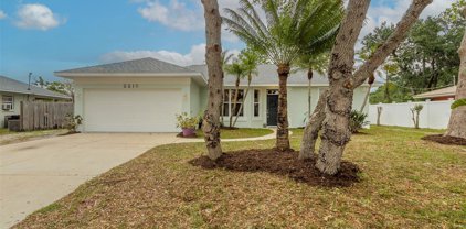 2215 Travelers Palm Drive, Edgewater