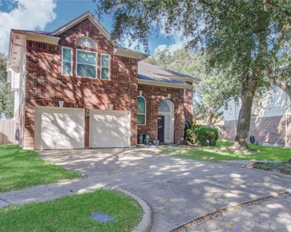 4103 N New Meadows Drive, Sugar Land