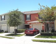 13433 Starry Night Court Unit 11, Orlando image