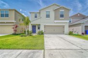 10204 Boggy Moss Drive, Riverview image