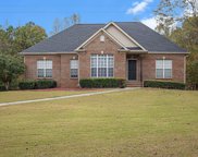 918 Shelby Forest Way, Chelsea image