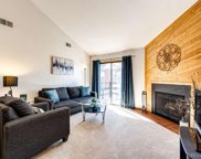 341 W Lehow Avenue Unit 21, Englewood image