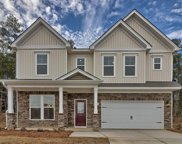 416 Dolomite Court, Chapin image