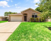 4173 Coral Springs  Court, Fort Worth image