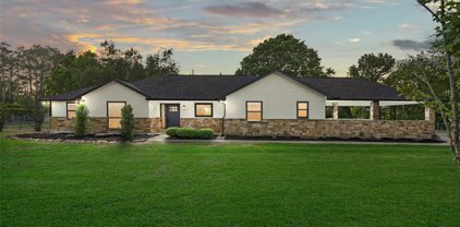16775 Old Danville Road Road, Willis