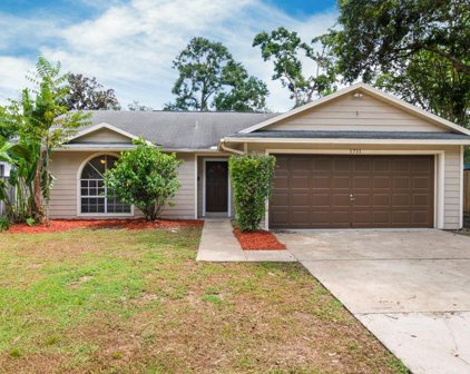 1711 Delaney Avenue, Orlando