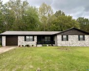 107 Pinewood Circle, Guntersville image