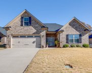 18 Ana Rose, Greer image