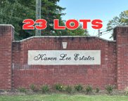 Ronny Lane Unit 1, Springville image
