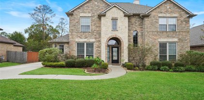 518 Oak Ridge Grove Circle, Spring