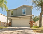 7842 Carriage Pointe Drive, Gibsonton image