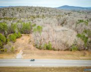 3 Acres N U S Hwy 431, New Hope image