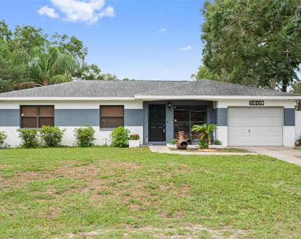 5609 Neal Drive, Tampa