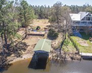 24238 Arcadia Farm Road, Pass Christian image