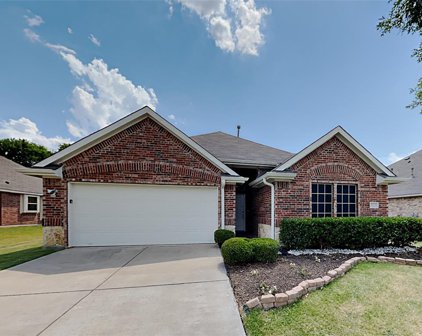 3223 Clear Springs  Drive, Forney
