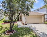18186 Sandy Pointe Drive, Tampa image