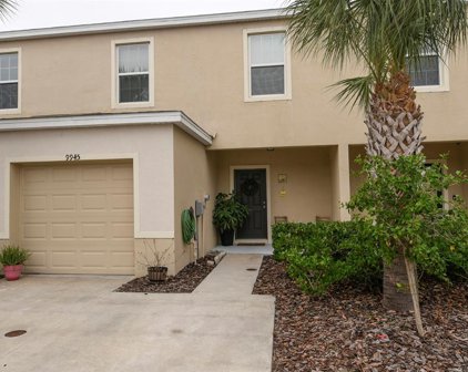 9945 Hound Chase Drive, Gibsonton