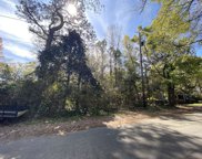 Sasportas Lane, Summerville image