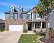 241 Timber Wood Drive, Chapin image