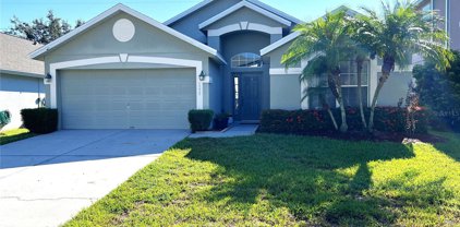5339 Los Palma Vista Drive, Orlando