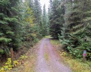 116 Trapper Creek, Sandpoint image