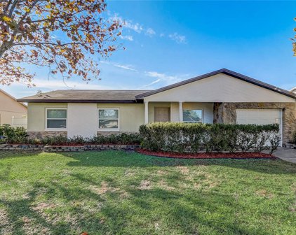 2330 Mace Street, Orlando