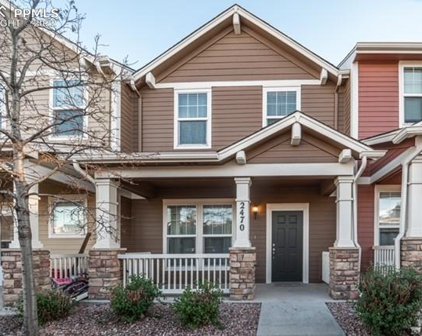 2470 Obsidian Forest View, Colorado Springs